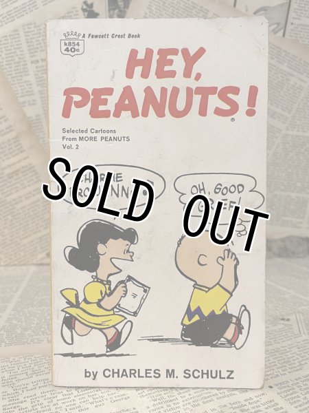 画像1: PEANUTS/Comic Book(70s) PN-013 (1)