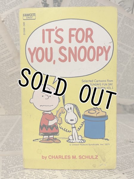 画像1: PEANUTS/Comic Book(70s) PN-015 (1)