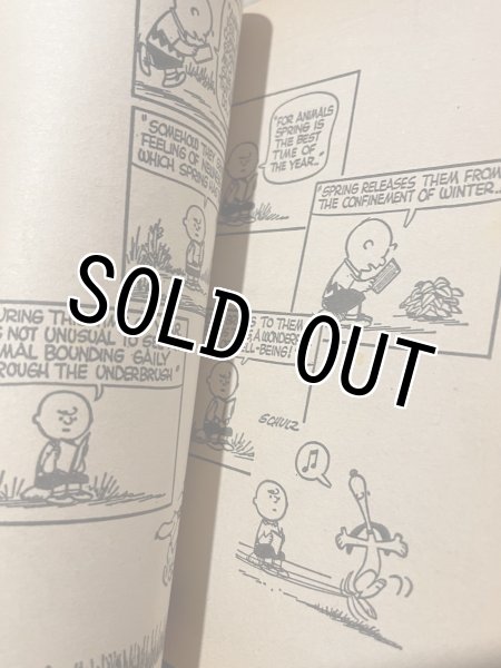画像2: PEANUTS/Comic Book(70s) PN-018 (2)