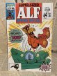 画像1: ALF/Comic(80s/Super-Sized/C) (1)