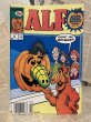 画像1: ALF/Comic(80s/#11) (1)