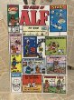 画像1: ALF/Comic(90s/#31) (1)