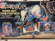 画像1: Thundercats/Play set(Mumm-Ra's Tomb Fortress/with box) (1)
