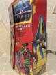 画像2: MOTU/Collectors Case(80s) (2)