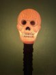 画像4: Skull/Display Light(B) (4)