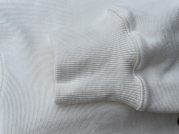 画像7: MONSTOR TIMES/SWEAT SHIRT ( BUT NOBODY'S PERFECT! ) AP-021 (7)