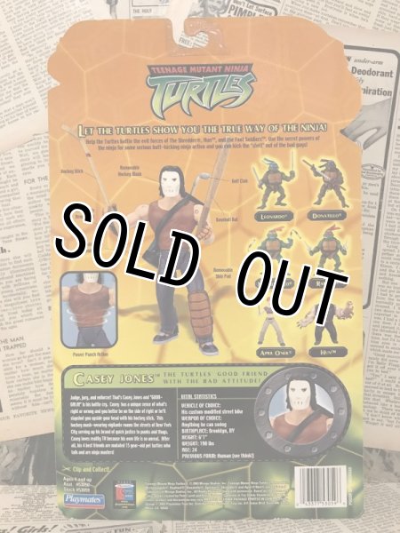 画像3: TMNT/Action Figure(2003/Casey Jones/MOC) (3)