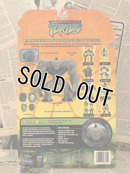 画像3: TMNT/Action Figure(2003/Stone Biter/MOC) (3)