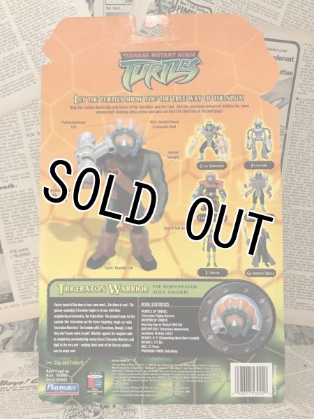 画像3: TMNT/Action Figure(2003/Triceraton Warrior/MOC) (3)