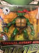 画像2: TMNT/Action Figure(2002/Turtles set/MOC) (2)