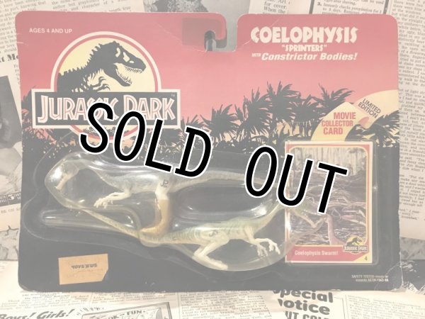 画像1: JURASSIC PARK/Coelophysis(MOC) (1)