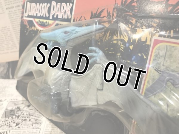 画像2: JURASSIC PARK/Pteranodon(MOC) (2)