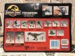 画像3: JURASSIC PARK/Pteranodon(MOC) (3)