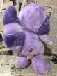 画像3: CareBear/Plush(80s/Raccoon) CB-033 (3)