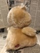 画像3: CareBear/Plush(80s/Champ/6") CB-038 (3)