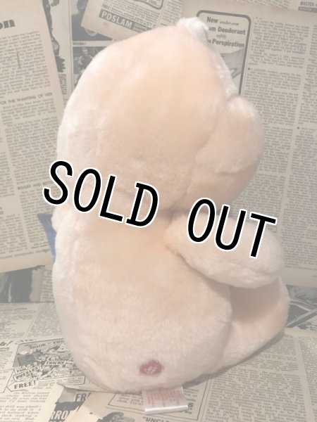 画像3: CareBear/Plush(80s/Friend/13")    (3)