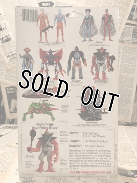 画像3: Power Lords/Action Figure(Ggripptogg/MOC) (3)