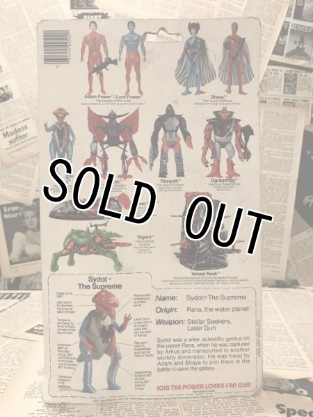 画像3: Power Lords/Action Figure(Sydot/MOC) (3)
