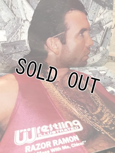 画像3: Pro Wrestling Illustrated Magazine(June 1993) (3)