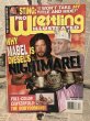 画像1: Pro Wrestling Illustrated Magazine(Dec.1995) WW-015 (1)