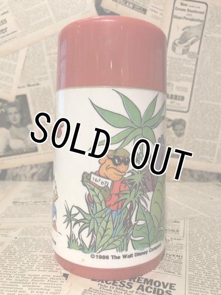 画像3: Duck Tales/Thermo Bottle(80s) (3)