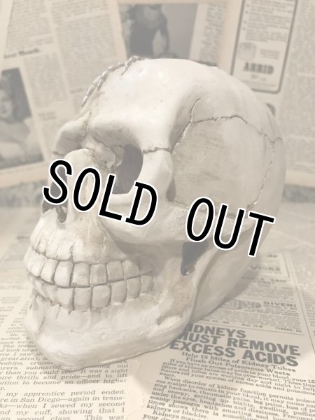 画像2: Skull&Spider/Statue(00s) (2)