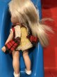 画像4: Heidi/Pocketbook Doll(MIB) (4)