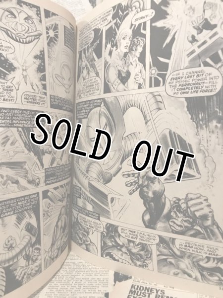 画像2: The Rampaging Hulk/Comic(70s/C) (2)