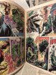 画像3: The Hulk!/Comic(70s/B) (3)