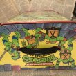 画像4: TMNT/Deluxe Collectors Case(80s) (4)