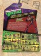 画像3: TMNT/Action Figure(2012/Bebop/MOC) (3)