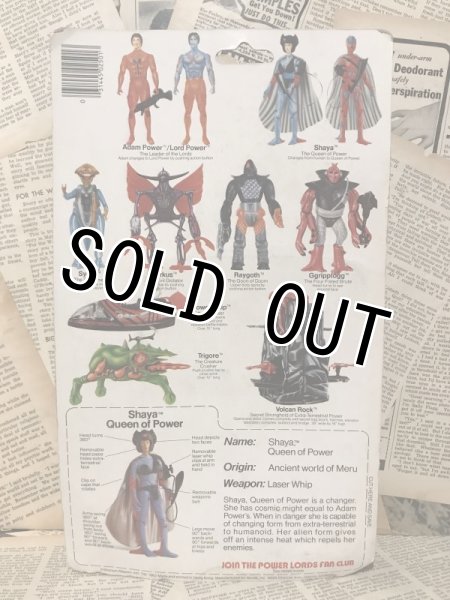 画像3: Power Lords/Action Figure(Shaya/MOC) (3)
