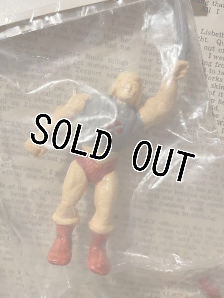 画像5: MOTU Bootleg/Action Figure set(Poland) FA-001 (5)