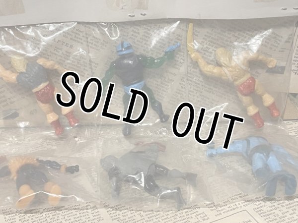 画像2: MOTU Bootleg/Action Figure set(Poland) FA-001 (2)