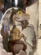 画像5: The Lost World/Hatchling Dinos set(90s/MIP) (5)