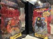 画像3: MOTU/Action Figure set(Commemorative/MIB) (3)