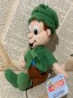 画像2: Lucky the Leprechaun/Beans Plush(90s) (2)