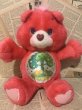 画像5: CareBear/Environmental Bears set(90s) CB-025 (5)