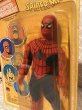 画像2: Spider-Man/8" Figure(70s/mego/MOC) (2)