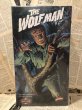 画像1: The Wolfman/Plastic Model Kit(90s/Polar Lights/MIB) MT-025 (1)