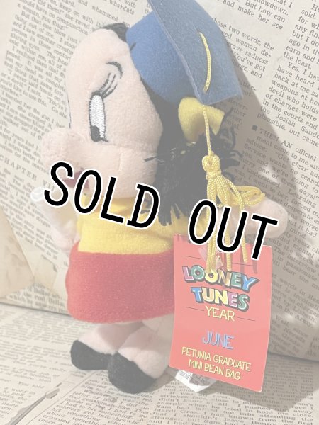 画像2: Looney Tunes/Mini Beans Plush(90s/Petunia) (2)