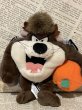 画像1: Looney Tunes/Mini Beans Plush(90s/Taz) (1)