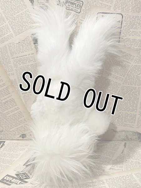 画像3: Easter Bunny/Plush(20cm) FO-018 (3)