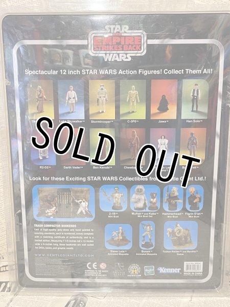 画像3: Star Wars/Action Figure(12" Stormtrooper/MOC) SW-024 (3)