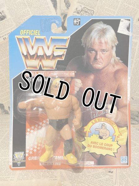 画像1: WWF/Action Figure(Greg "The Hammer" Valentine/MOC) WW-002 (1)