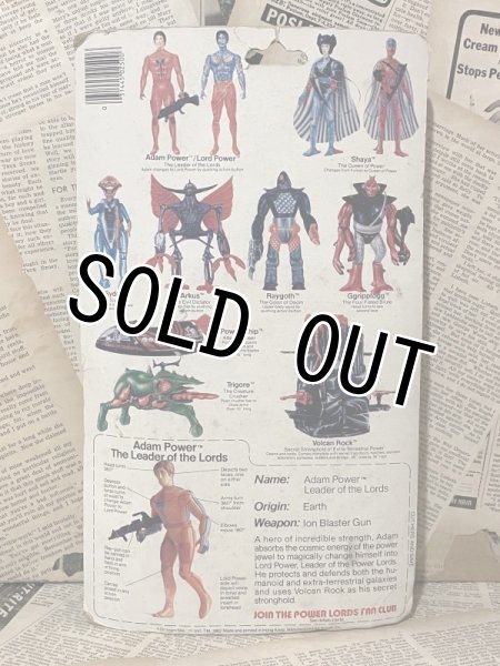 画像3: Power Lords/Action Figure(Adam Power/MOC) FA-034 (3)