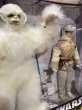 画像2: Star Wars/12" Figure(Luke Skywalker vs Wampa/MIB) SW-050 (2)