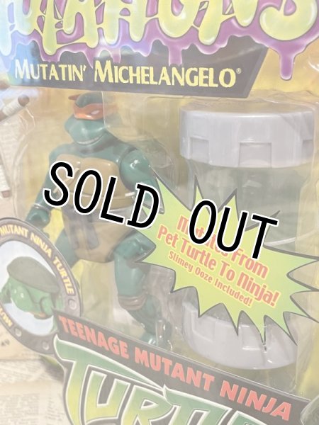 画像2: TMNT/Action Figure(2003/Mutatin' Michelangelo/MOC) TM-137 (2)