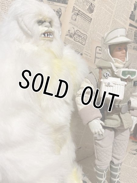 画像2: Star Wars/12" Figure(Luke Skywalker vs Wampa/Loose) SW-063 (2)