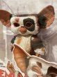 画像2: Gremlins/Action Figure(2014/Patches/MOC) GR-036 (2)